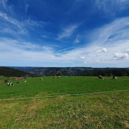 Haus Schanzenblick Gaestezimmer 7 Mit Bad Und Terrasse